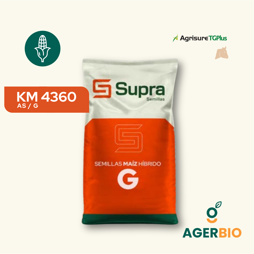Semillas de maíz híbrido Supra KM 4360 AS G AGERBIO