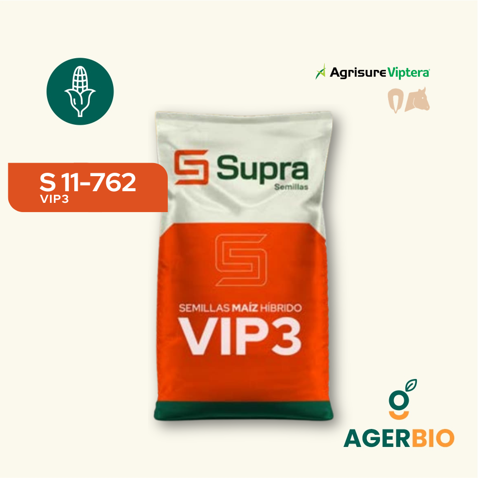 Semillas de maíz híbrido Supra S 11-762 VIP3 AGERBIO